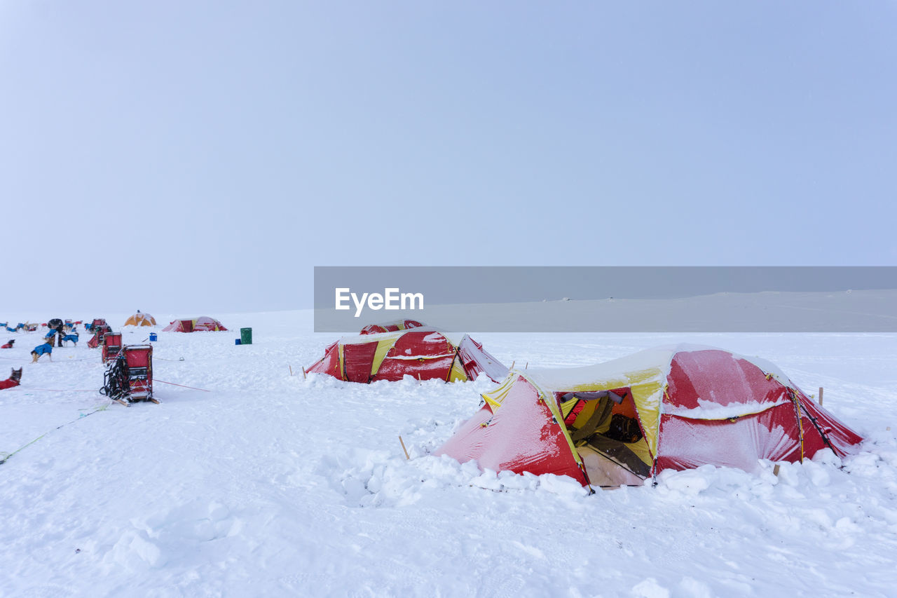 Freezing camp during a dog-sledding expedition