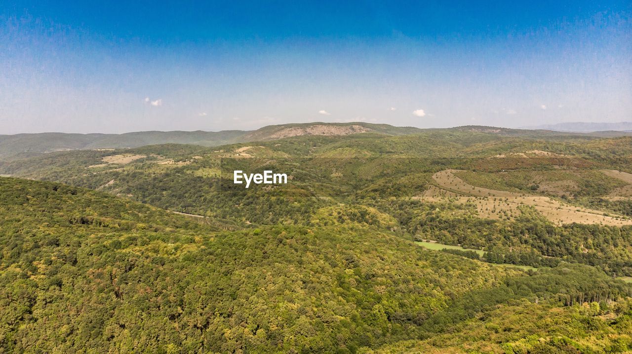 environment, landscape, scenics - nature, land, sky, mountain, wilderness, natural environment, beauty in nature, nature, plant, ridge, plateau, forest, tranquility, no people, blue, travel, outdoors, rural scene, tranquil scene, mountain range, travel destinations, non-urban scene, tree, grassland, plain, tourism, meadow, horizon, clear sky, sunny, valley, field, green, agriculture, day, social issues, environmental conservation, vegetation, summer, sunlight, rural area, idyllic, panoramic