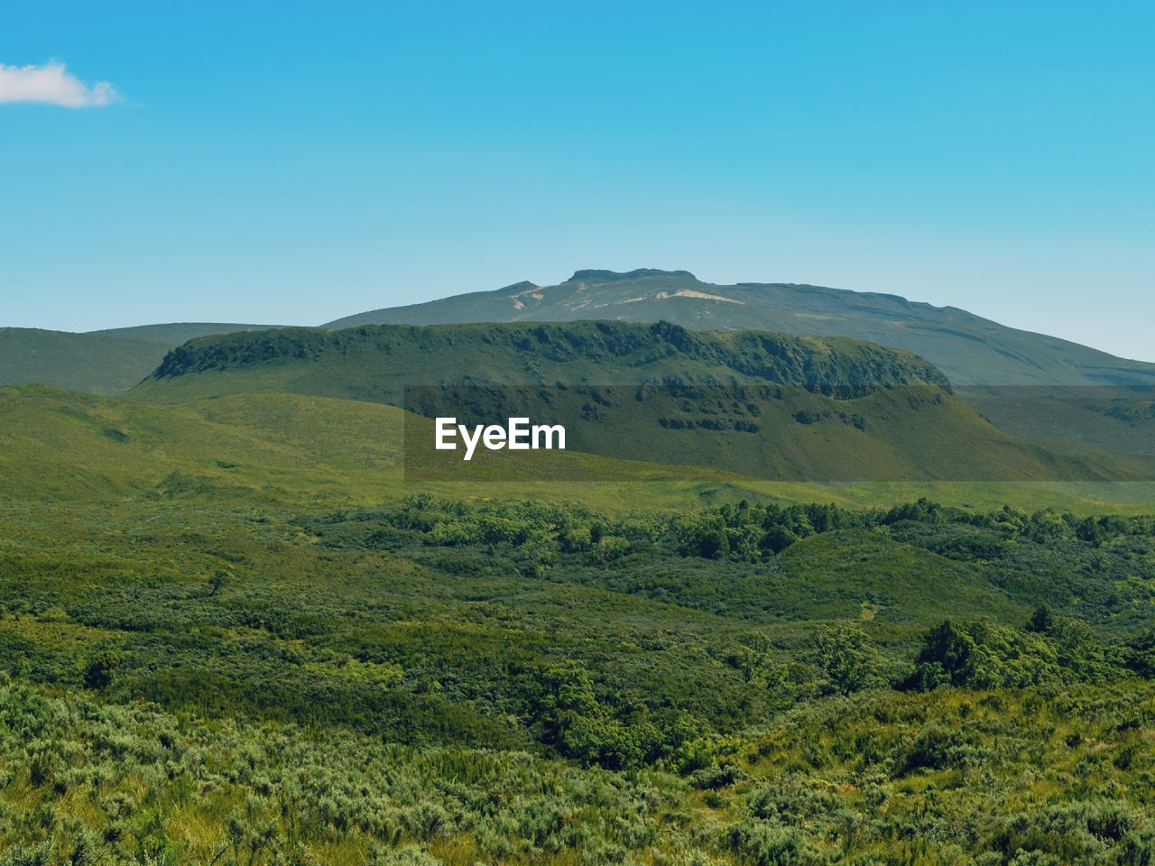 High altitude moorland against a mountain background, mount kenya