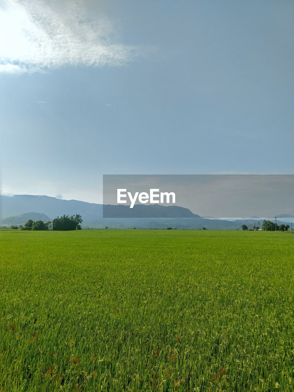 SCENIC VIEW OF FARM AGAINST SKY