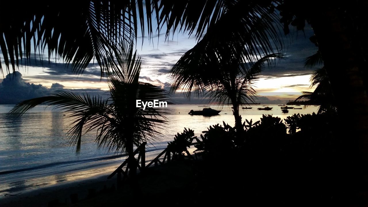 SILHOUETTE PALM TREES AGAINST SKY AT SUNSET