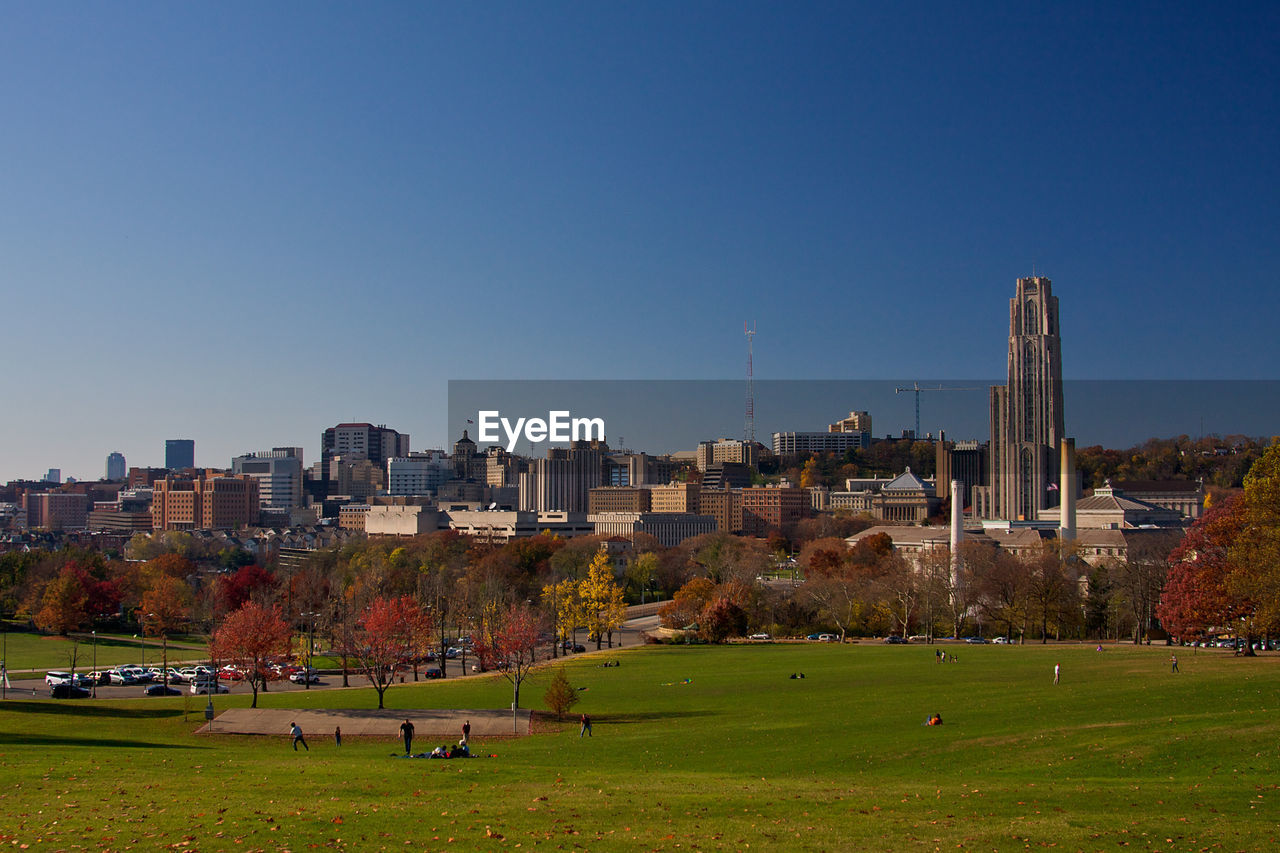 SCENIC VIEW OF FIELD AGAINST CLEAR SKY