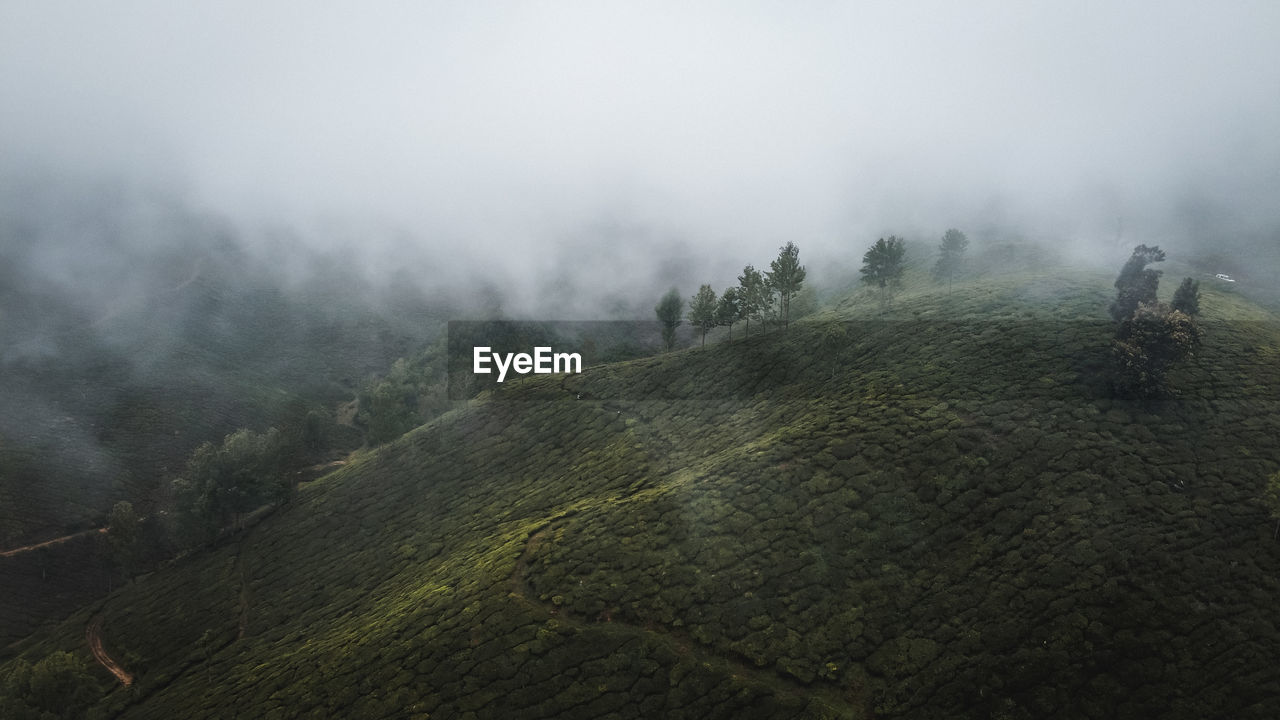 Munnar drone shot