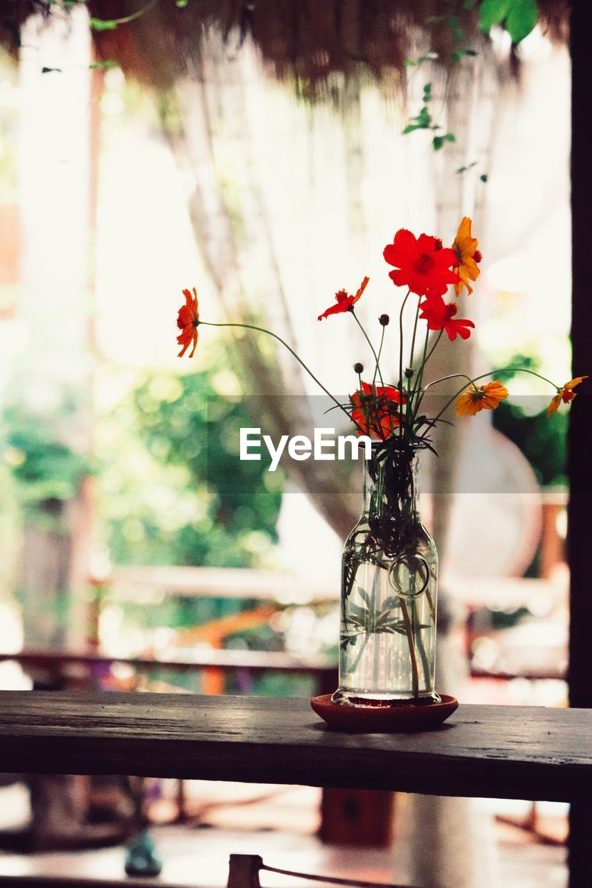 flower, red, flowering plant, plant, nature, vase, spring, no people, beauty in nature, freshness, window, indoors, floristry, decoration, table, fragility, focus on foreground, glass, flower arrangement, selective focus, day, yellow, arrangement, centrepiece, flower head, close-up, green