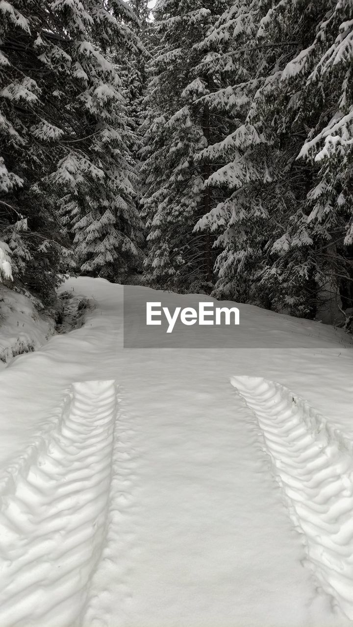 SCENIC VIEW OF SNOW COVERED LAND DURING WINTER