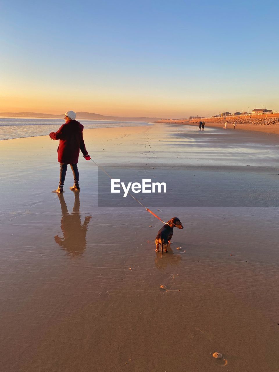 Dachshund and owner on the beach at aberavon south wales