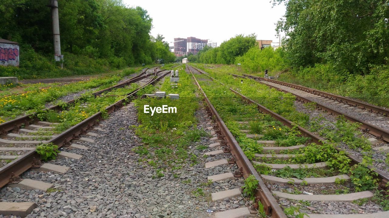 RAILROAD TRACK AMIDST TREES