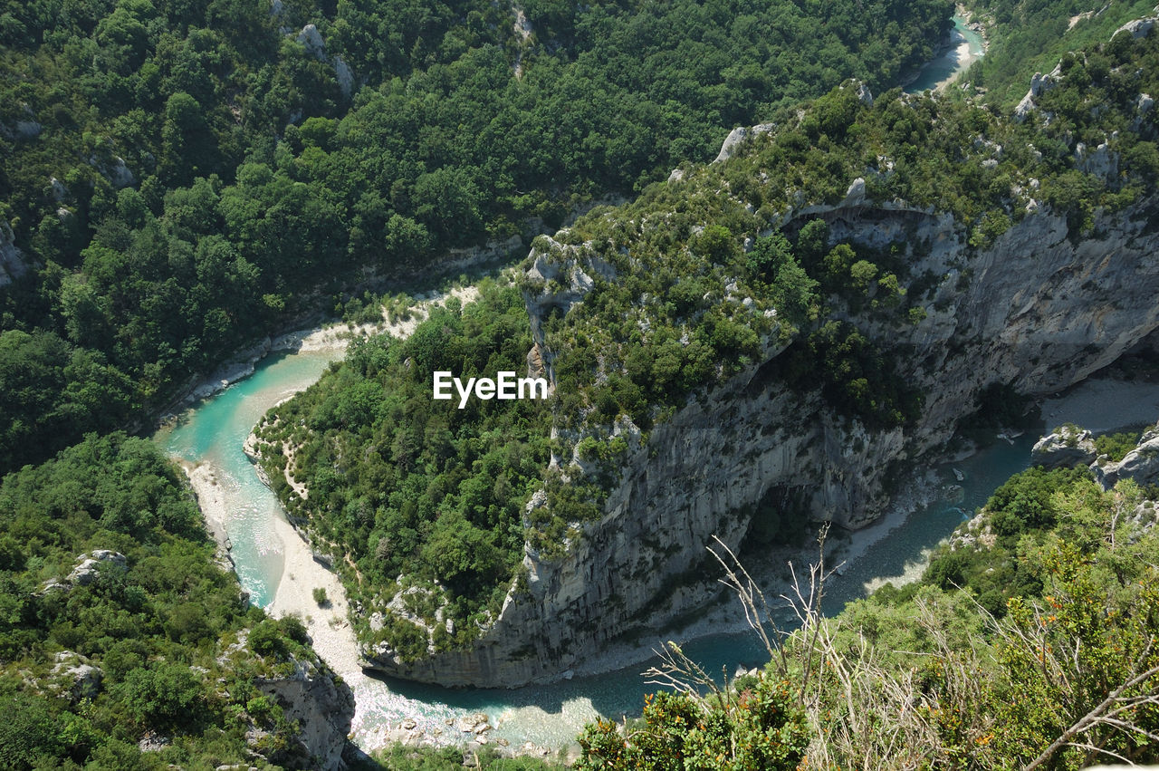 High angle view of river amidst trees in forest