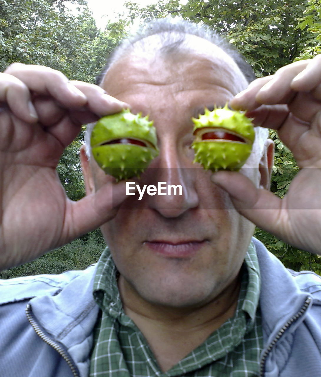 Close-up of senior man holding chestnuts