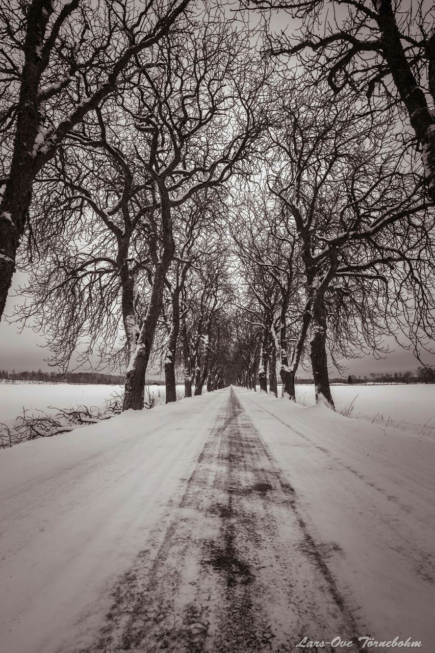 Empty road amidst bare trees on snowcapped field during winter