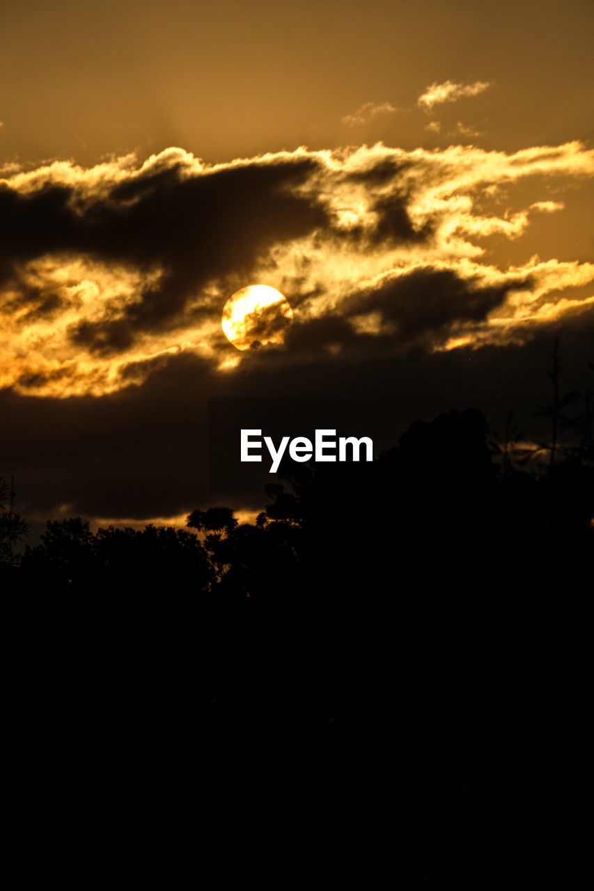 SCENIC VIEW OF SILHOUETTE TREES AGAINST ORANGE SKY