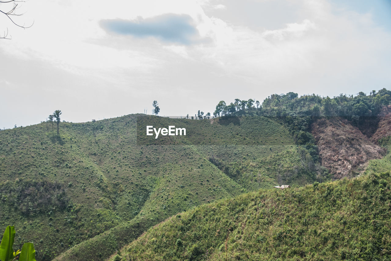 SCENIC VIEW OF TREE MOUNTAINS AGAINST SKY