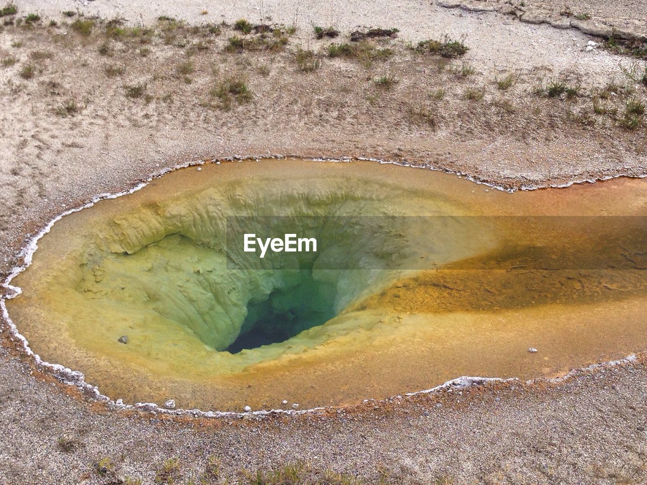 Geyser in yellowstone national park