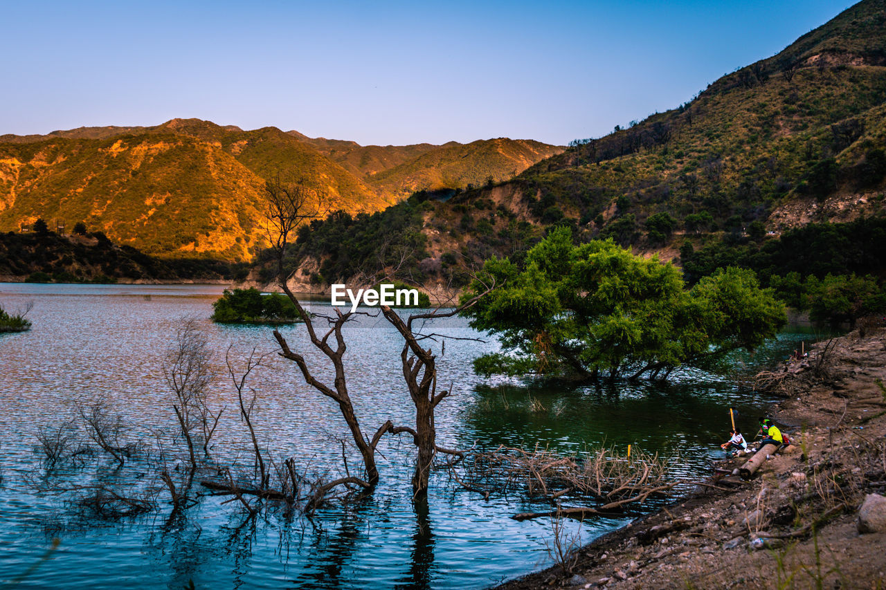 Scenic view of river amidst trees against sky