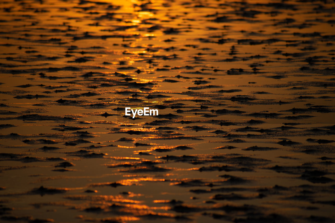 Close-up of a mudflap at low tide in the light of a sunset. 