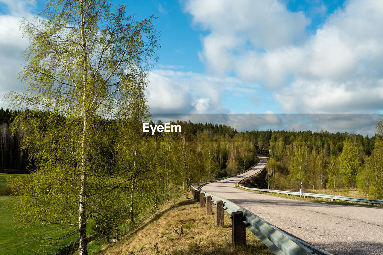 Road by trees against sky