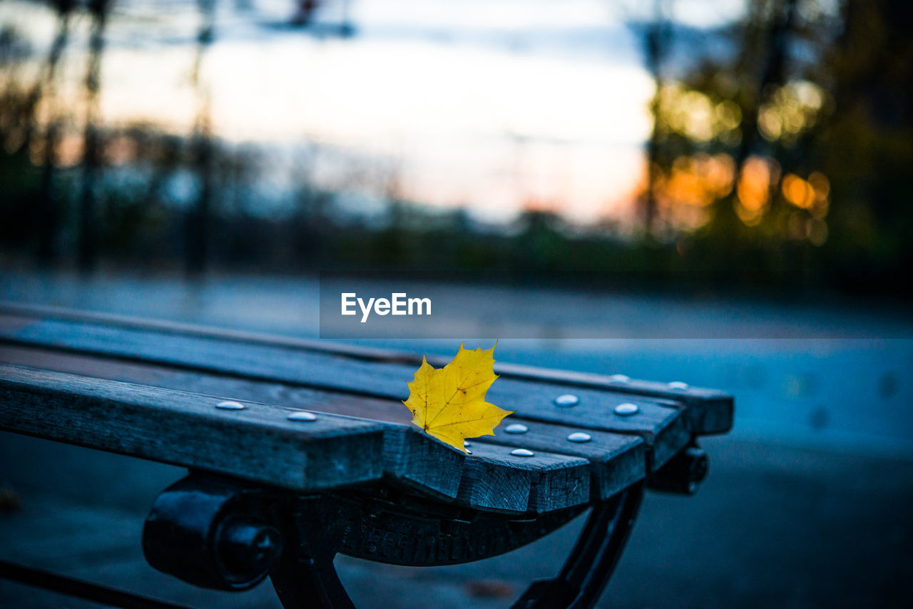 Empty public park bench with a lone fallen yellow leaf at sunset 