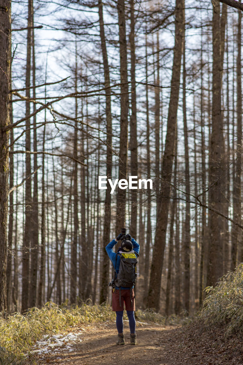 Rear view of backpacker photographing trees in forest