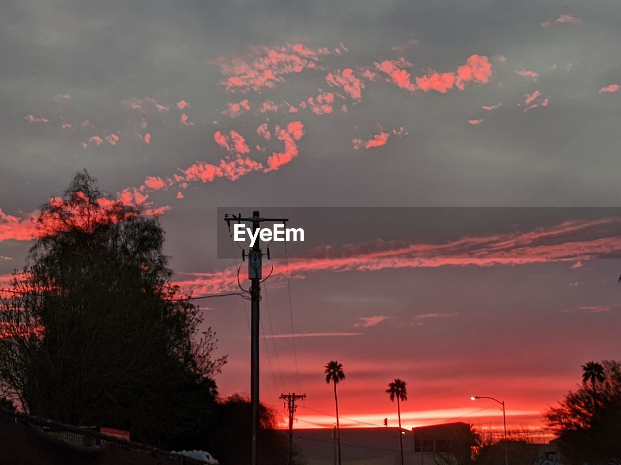 LOW ANGLE VIEW OF STREET LIGHTS AGAINST ORANGE SKY