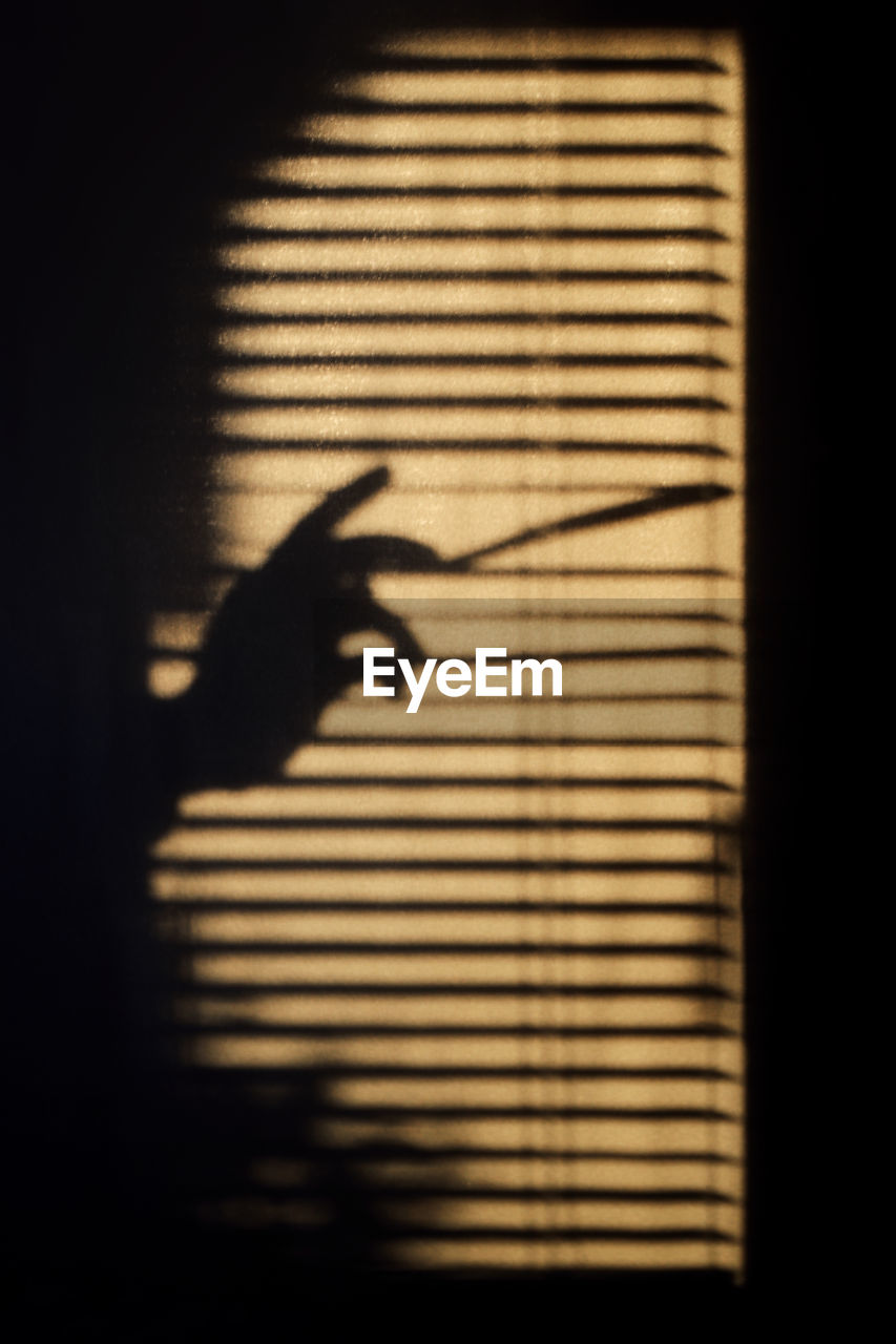 Shadow on window