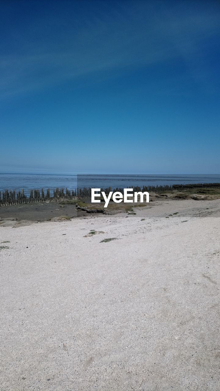 SCENIC VIEW OF BEACH AGAINST CLEAR SKY