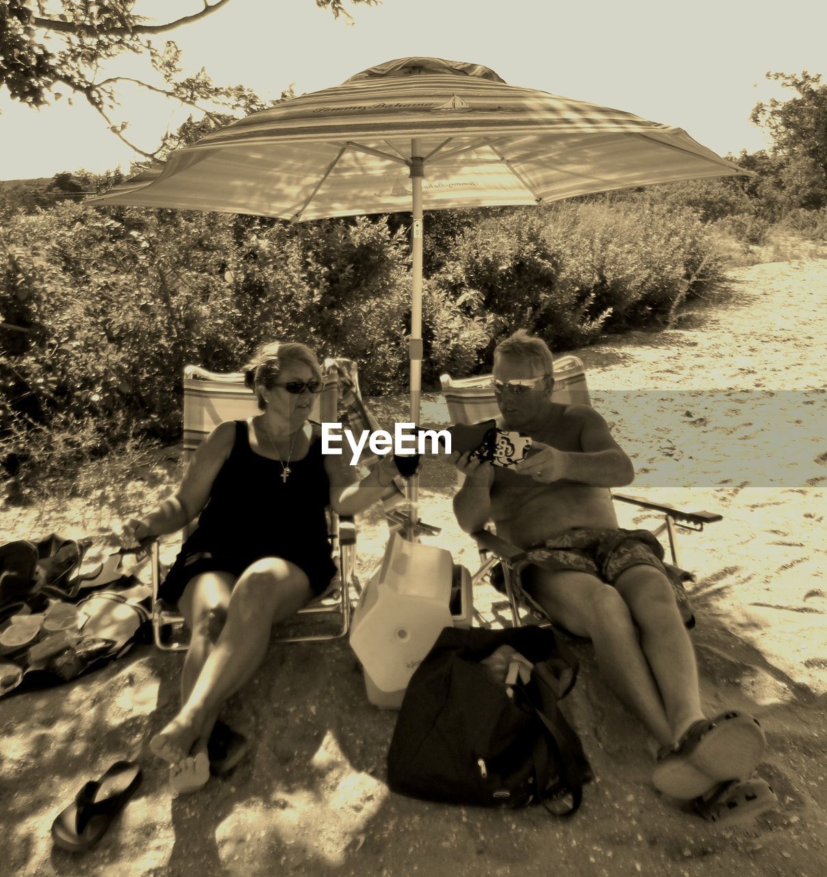 HIGH ANGLE VIEW OF WOMEN SITTING ON TREE