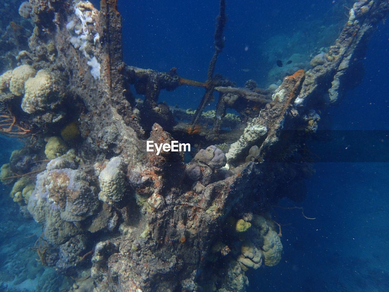 AERIAL VIEW OF SEA UNDERWATER