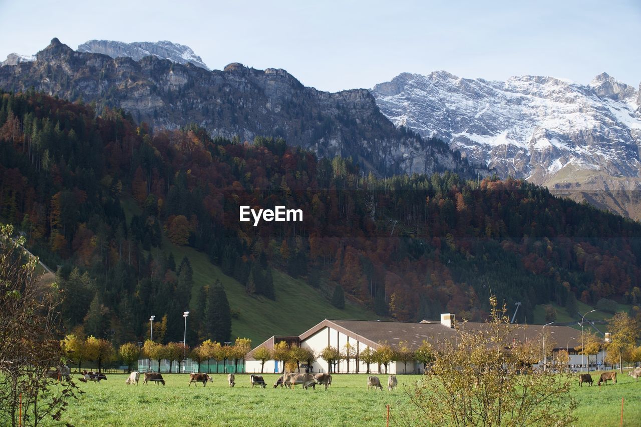 PANORAMIC VIEW OF HOUSES AND MOUNTAINS AGAINST SKY