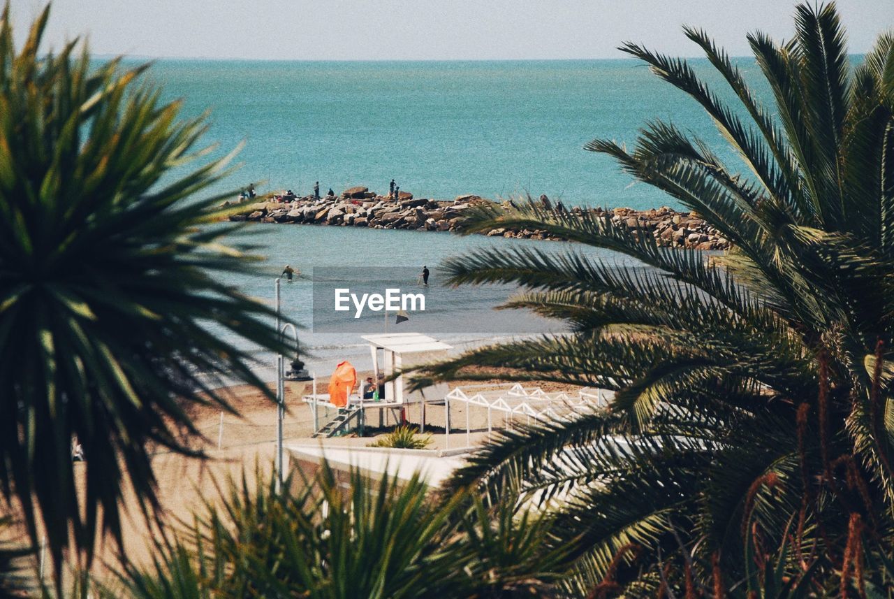 Palm trees by sea against sky