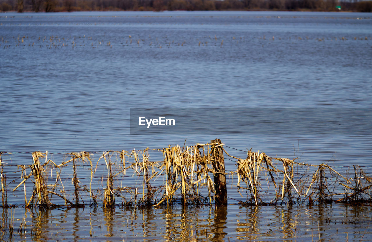 SCENIC VIEW OF LAKE