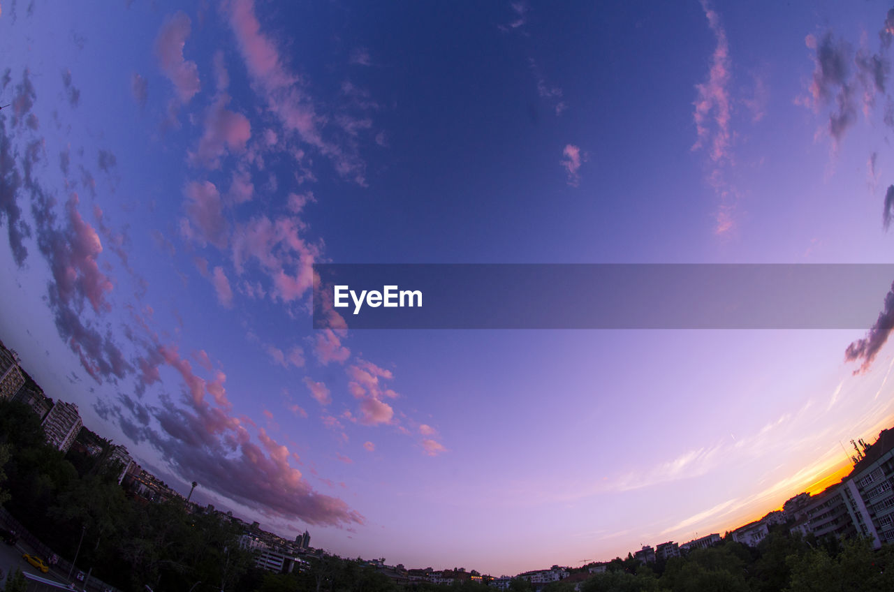 LOW ANGLE VIEW OF TREES AGAINST SKY