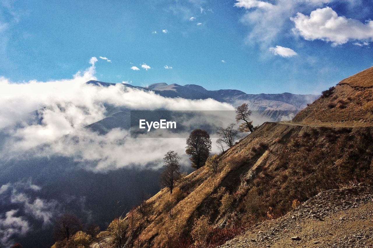 SCENIC VIEW OF TREE MOUNTAINS AGAINST SKY