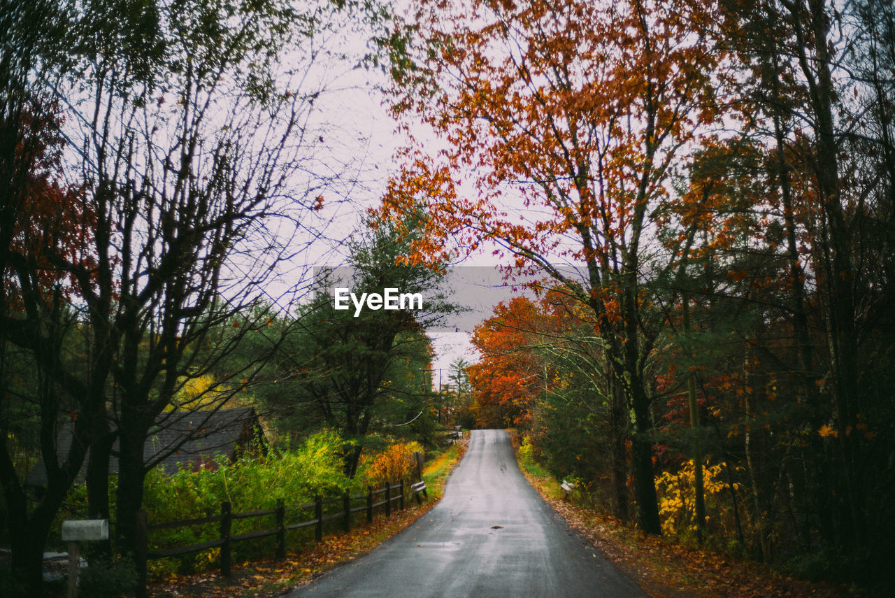 Winding country road in autumn, leaves leaf fall colors moody upstate spooky halloween haunted roads