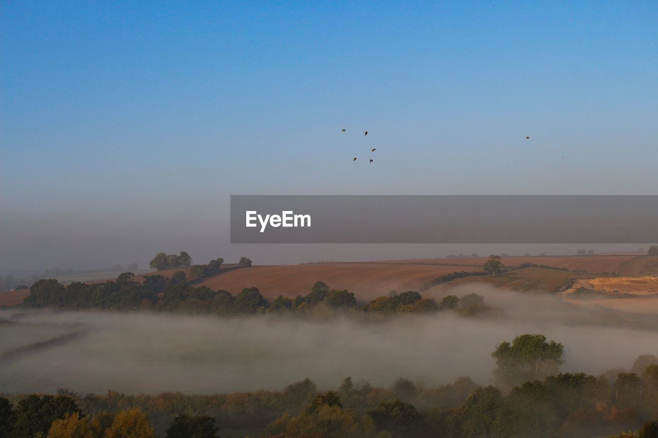 Birds flying over misty landscape against sky