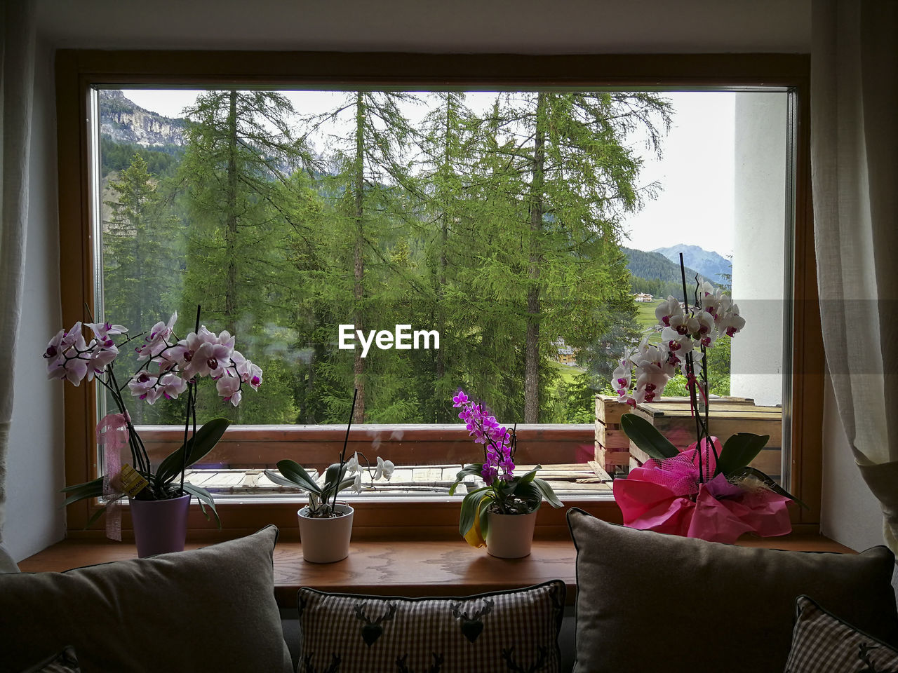 FLOWER VASE ON TABLE BY WINDOW