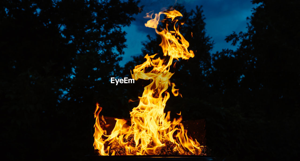 burning, flame, fire, bonfire, heat, nature, campfire, night, no people, motion, tree, glowing, darkness, orange color, outdoors, yellow, wood, long exposure