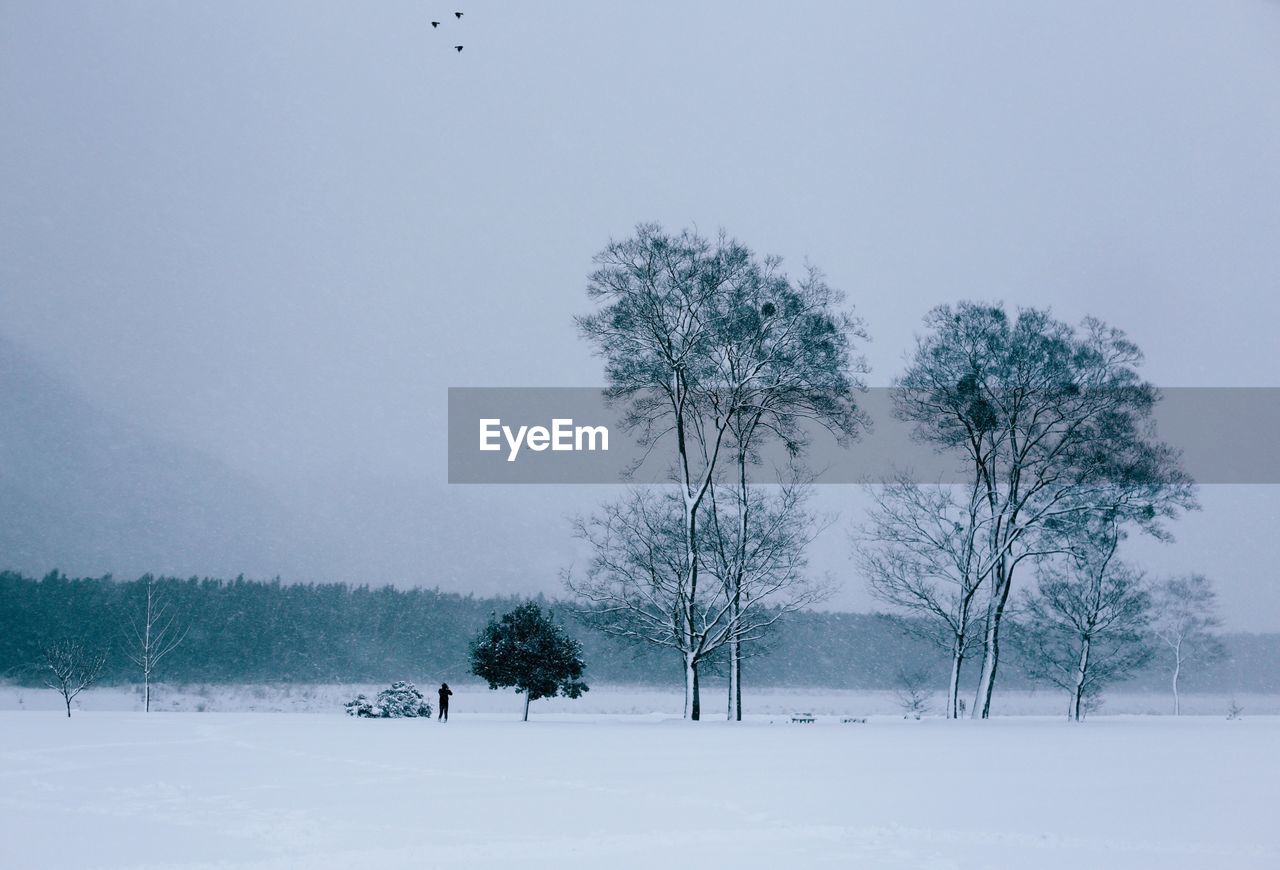 Trees on snowy landscape against sky during winter