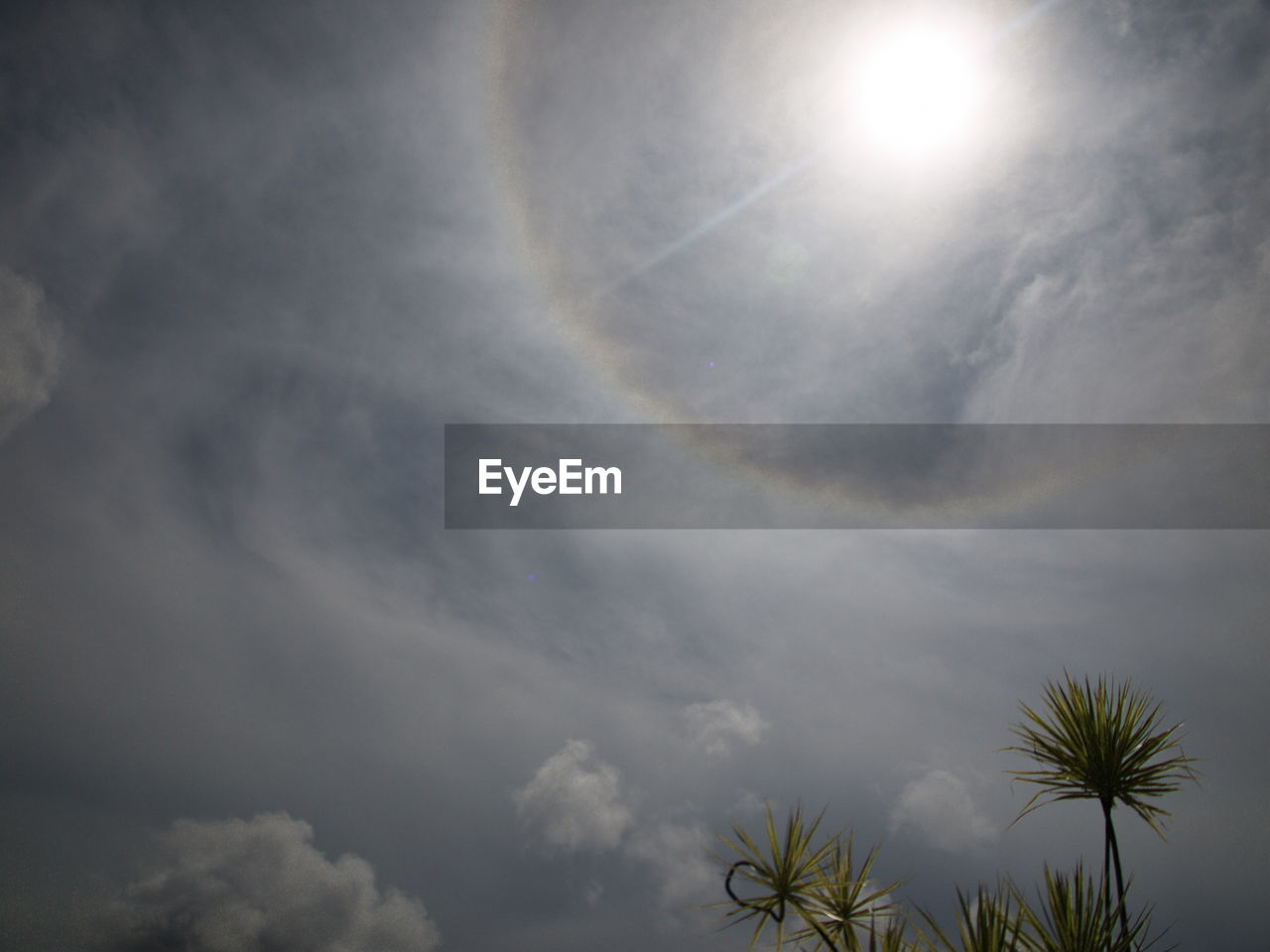 LOW ANGLE VIEW OF SKY AND CLOUDS IN SUNLIGHT