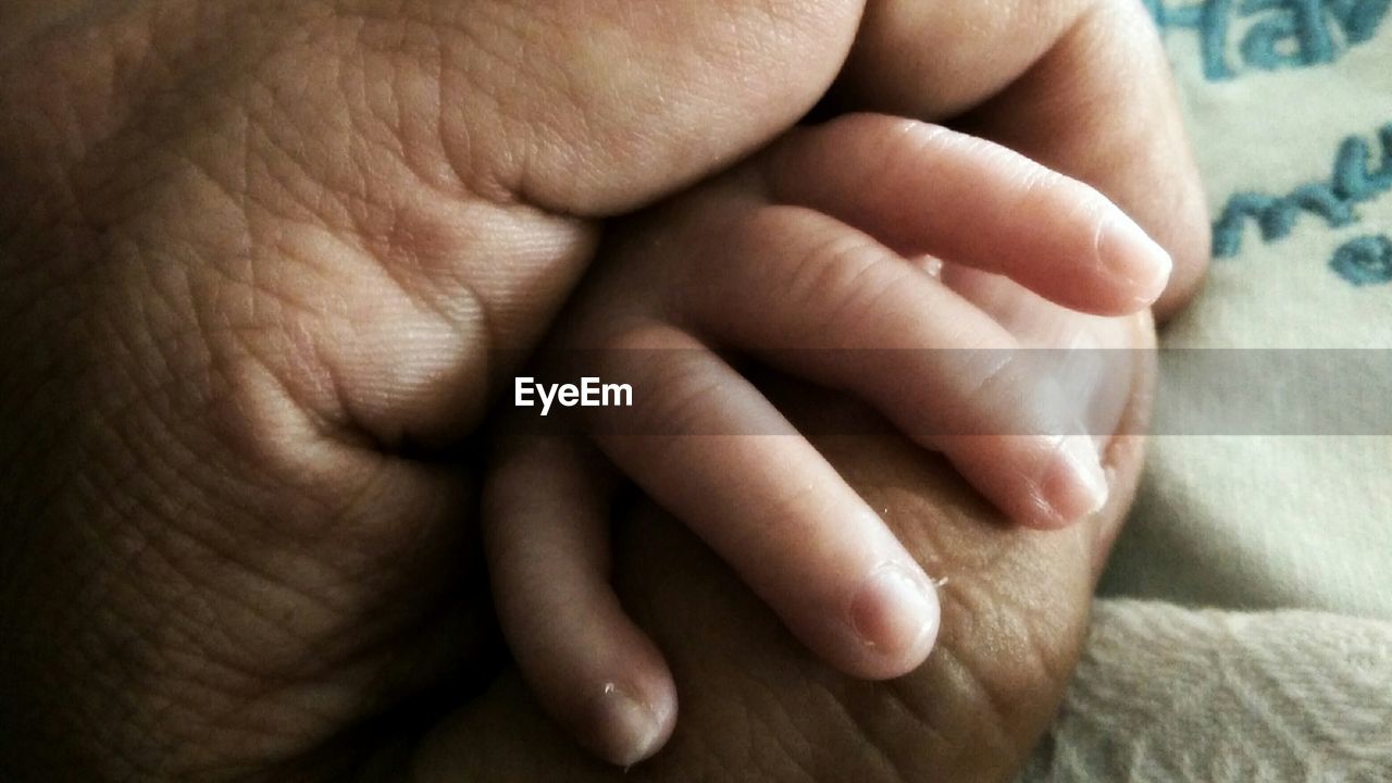 Cropped image of father holding baby hand
