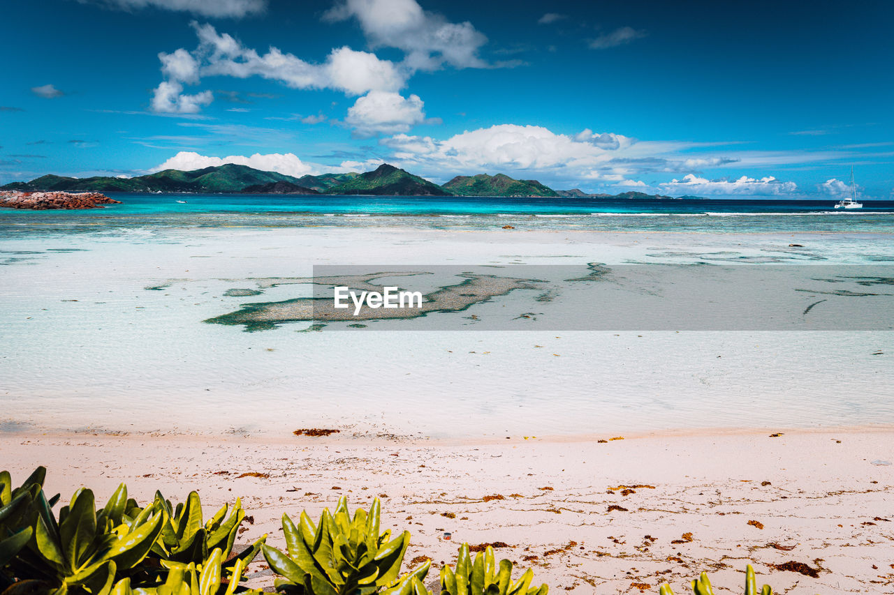 SCENIC VIEW OF SEA AGAINST BLUE SKY