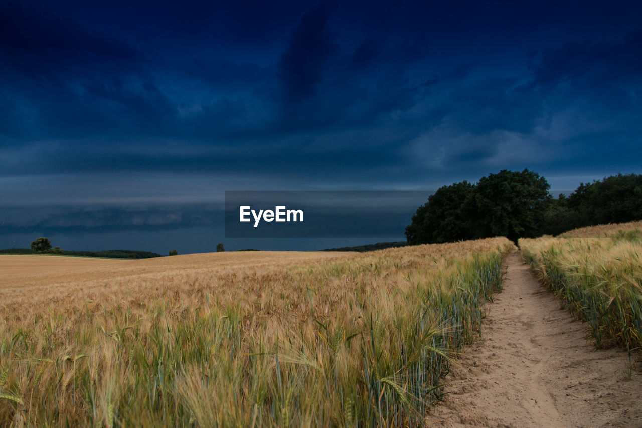 ROAD PASSING THROUGH FIELD