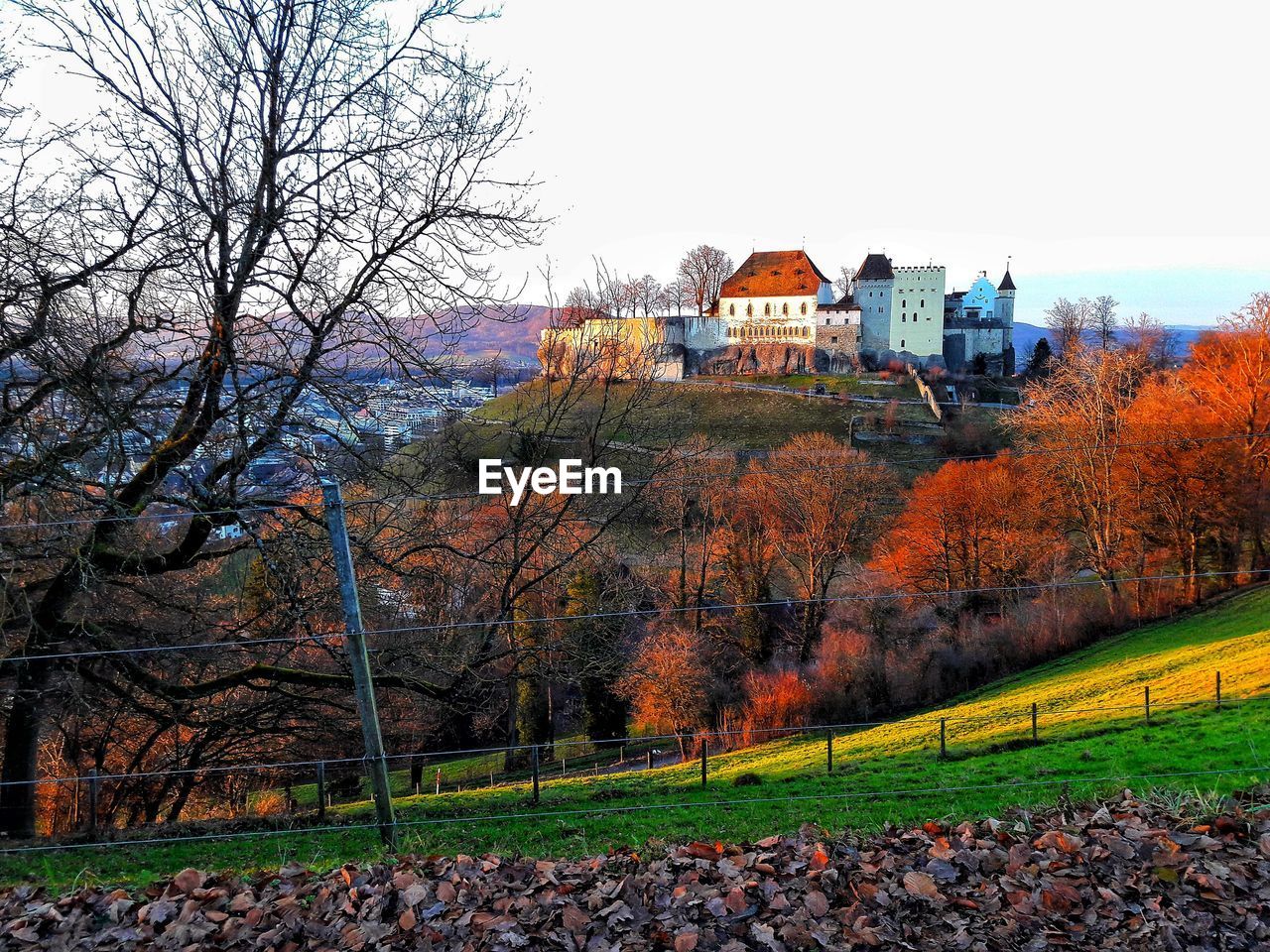 Trees and houses against clear sky during autumn