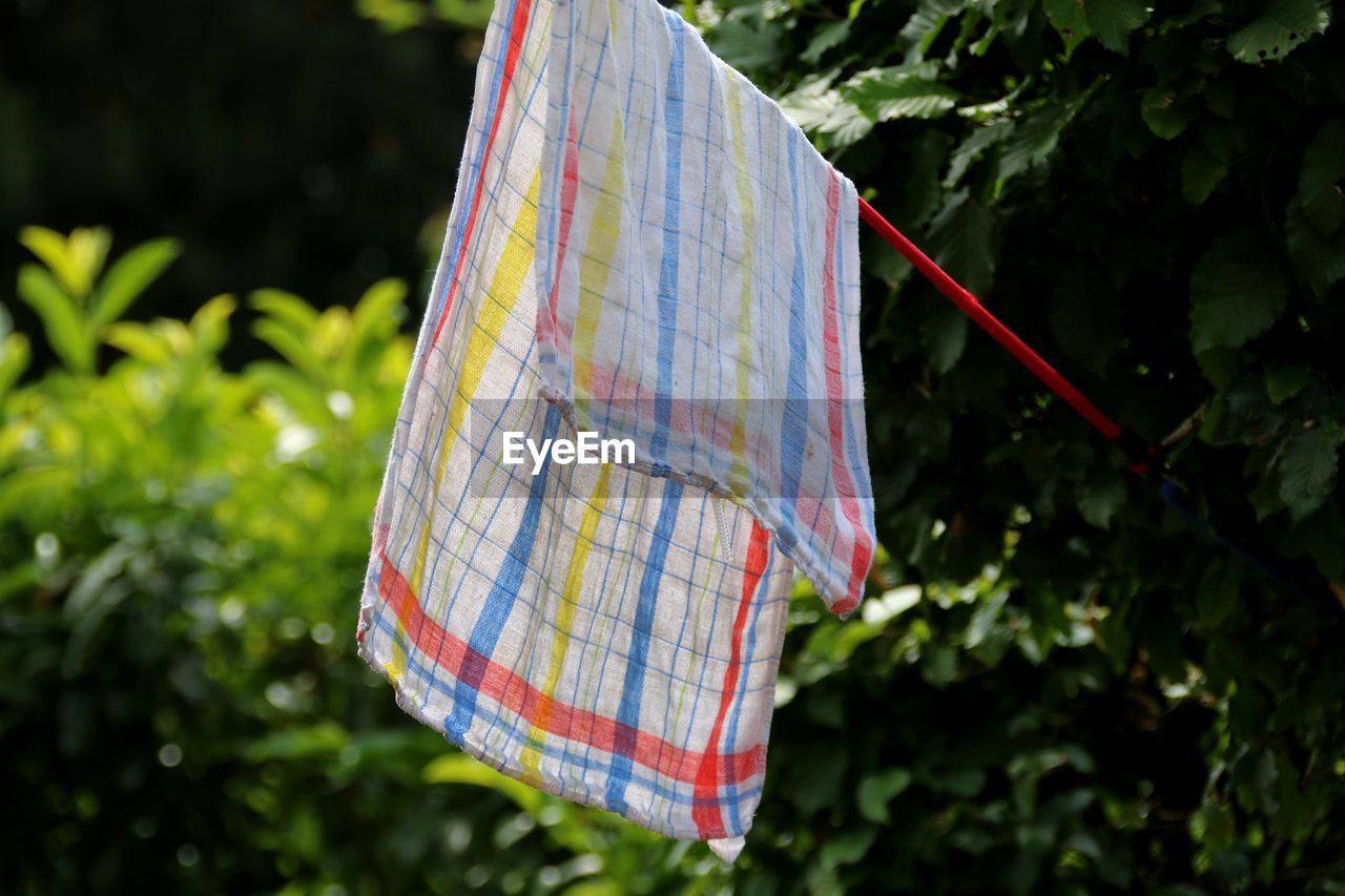 Close-up of multi colored fabric hanging on tree