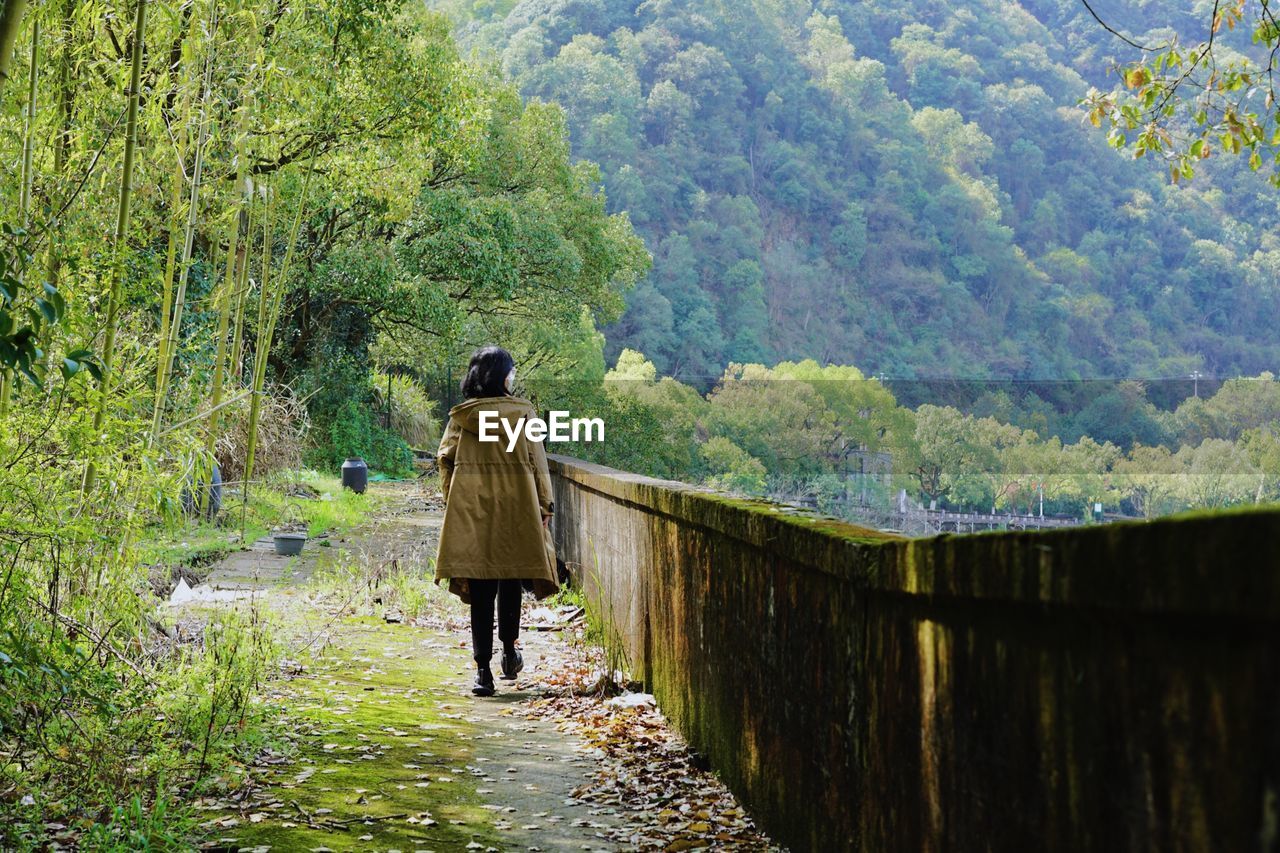 Rear view of man walking on road amidst trees in forest