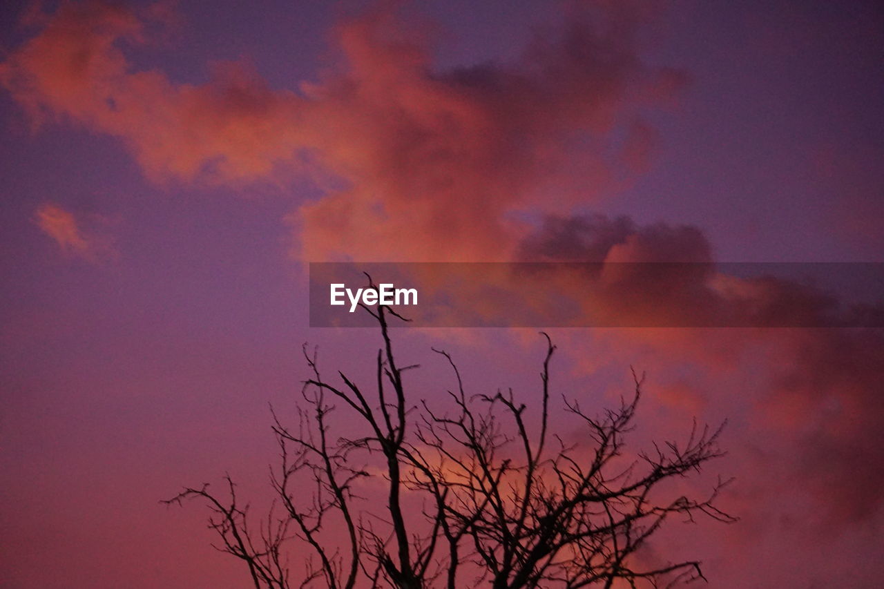 LOW ANGLE VIEW OF BARE TREE AGAINST SKY AT SUNSET
