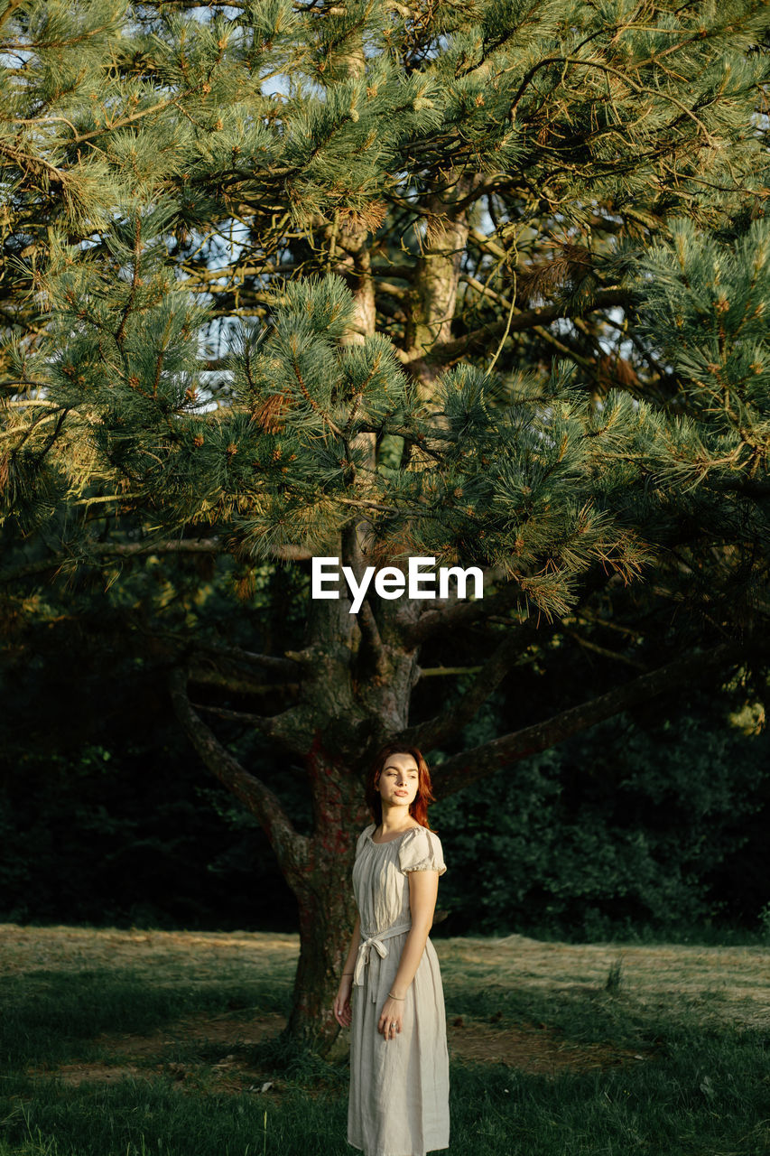 Portrait of woman standing by tree during sunset 