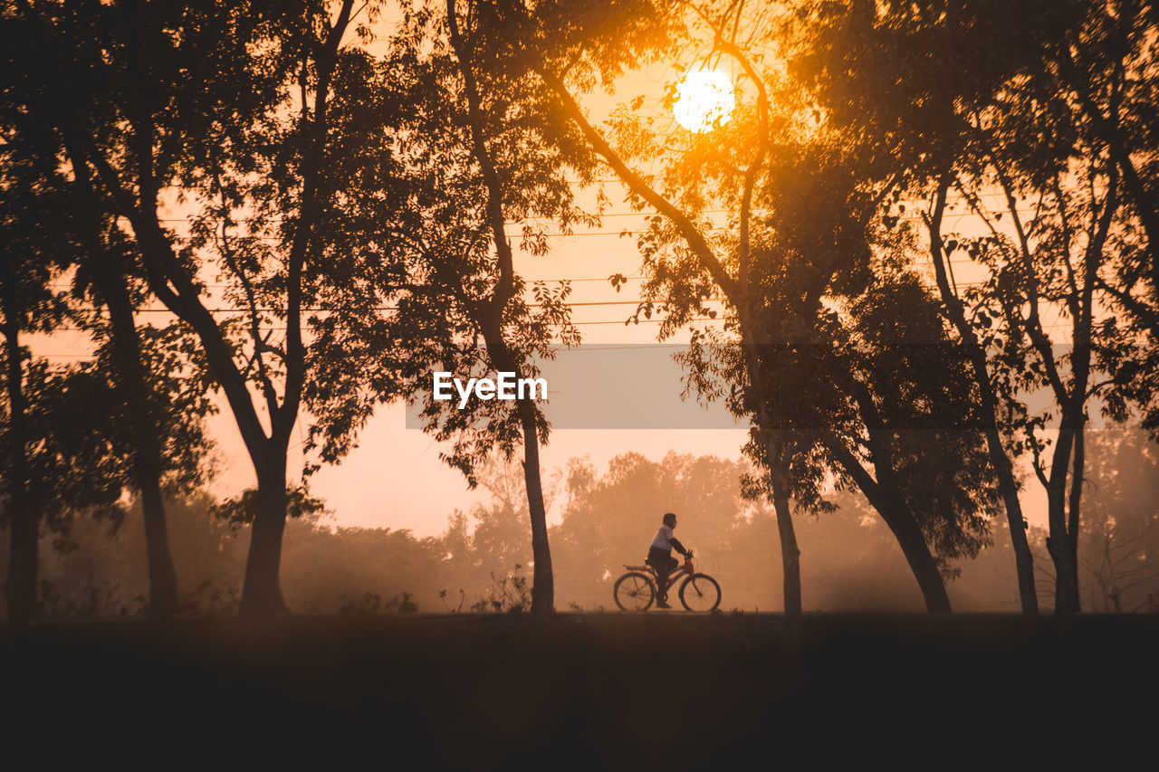 Silhouette man riding bicycle against sky during sunset