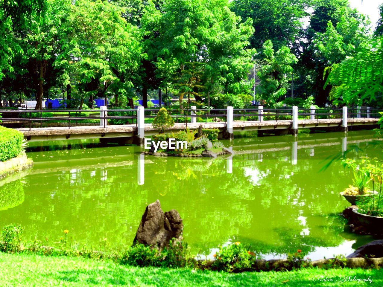 SCENIC VIEW OF POND IN PARK