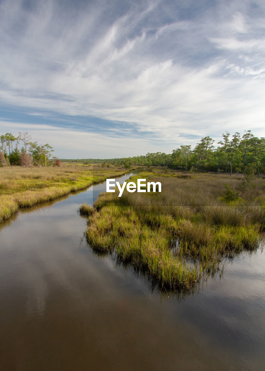 Scenic view of mash and wetlands. croatan national forest, outer banks, north carolina 