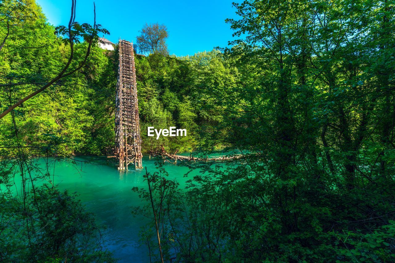 Scenic view of river amidst trees in forest against sky